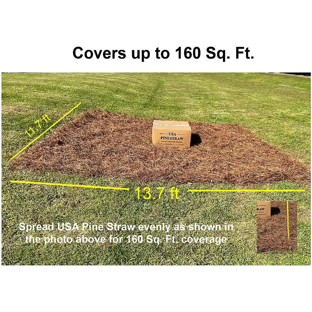 USA PINESTRAW Box of 160 Sq.ft. Long Needle Pine Straw Mulch