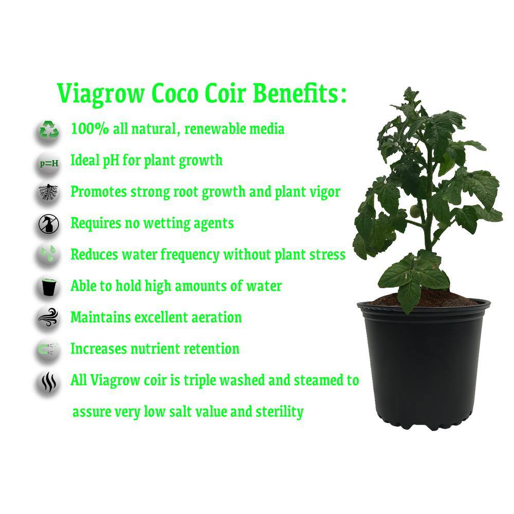 Viagrow Coco Coir with Micro Charge Root Enhancer