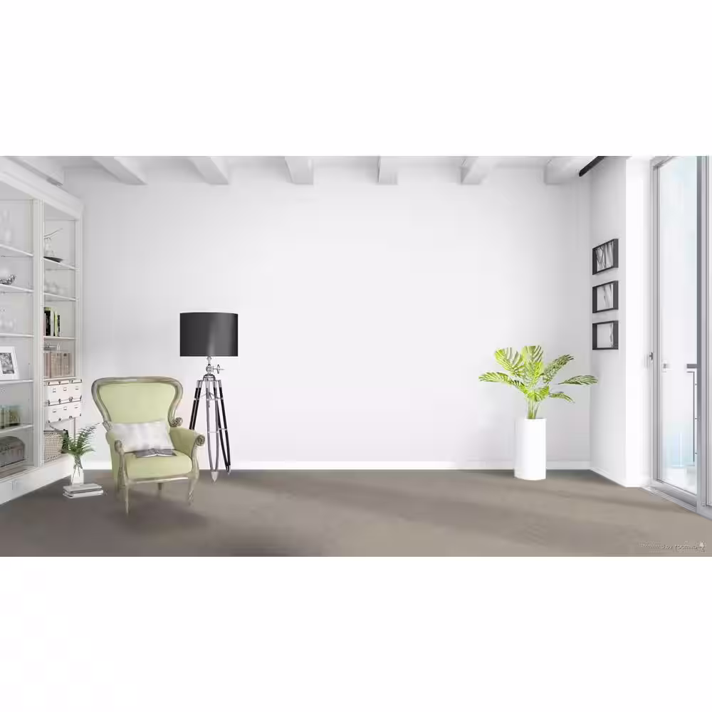 Home Decorators Collection Moonlight  - Twinkle - Beige 32 oz. SD Polyester Texture Installed Carpet
