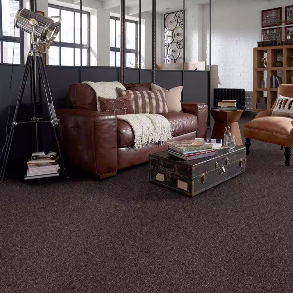 Home Decorators Collection Brave Soul II - Black Satin - 44 oz. Polyester Texture Installed Carpet