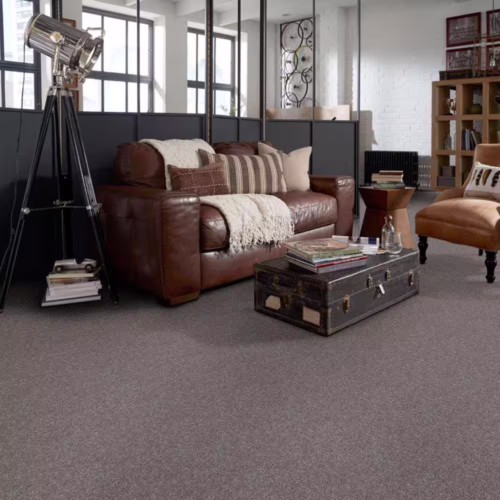 Home Decorators Collection Brave Soul II - Tapestry - Brown 44 oz. Polyester Texture Installed Carpet