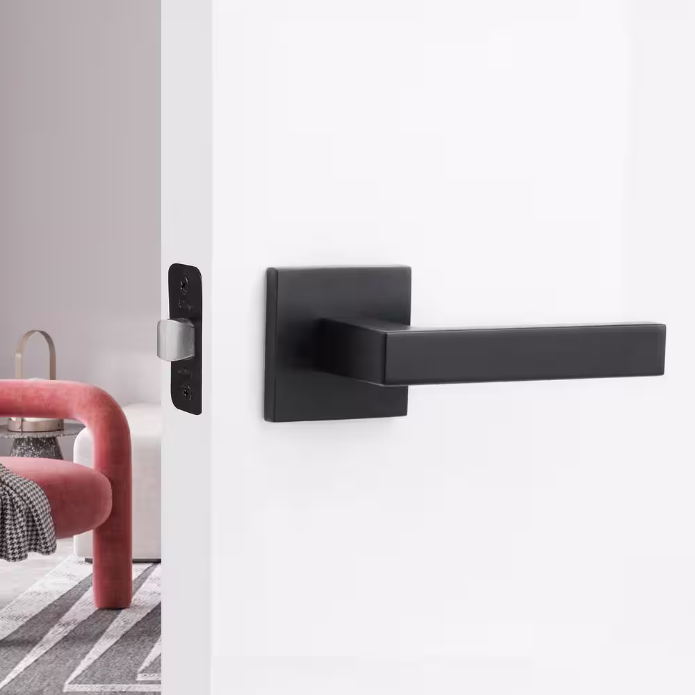 McBowery Allen Matte Black Double Dummy Modern Door Lever