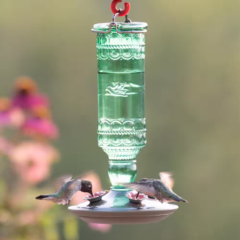 Perky-Pet Green Antique Bottle Decorative Glass Hummingbird Feeder - 10 oz. Capacity