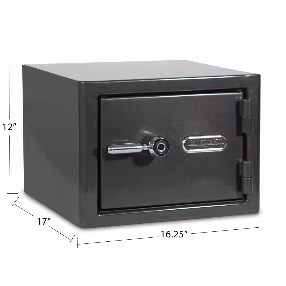 SANCTUARY Platinum 1.07 cu. ft. Fireproof/Waterproof Home and Office Safe w/ Biometric Lock, Dark Gray Metallic Finish