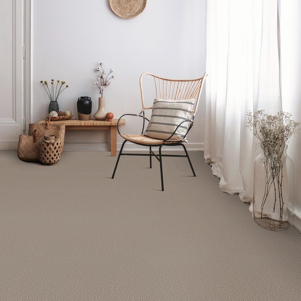 Home Decorators Collection Clareview - Eastglen - Gray 12 ft. Wide x Cut to Length 46 oz. SD Polyester Texture Carpet