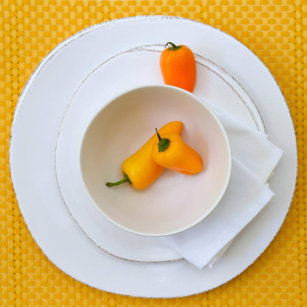 RITZ 19 in. x 13 in. Lemon Reversible Indoor Outdoor Tonal Placemats PVC and Polyester Blend (Set of 12)