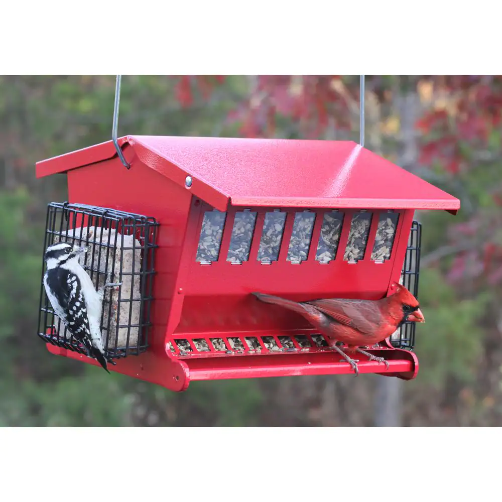 Heritage Farms Seeds 'N More Bird Feeder