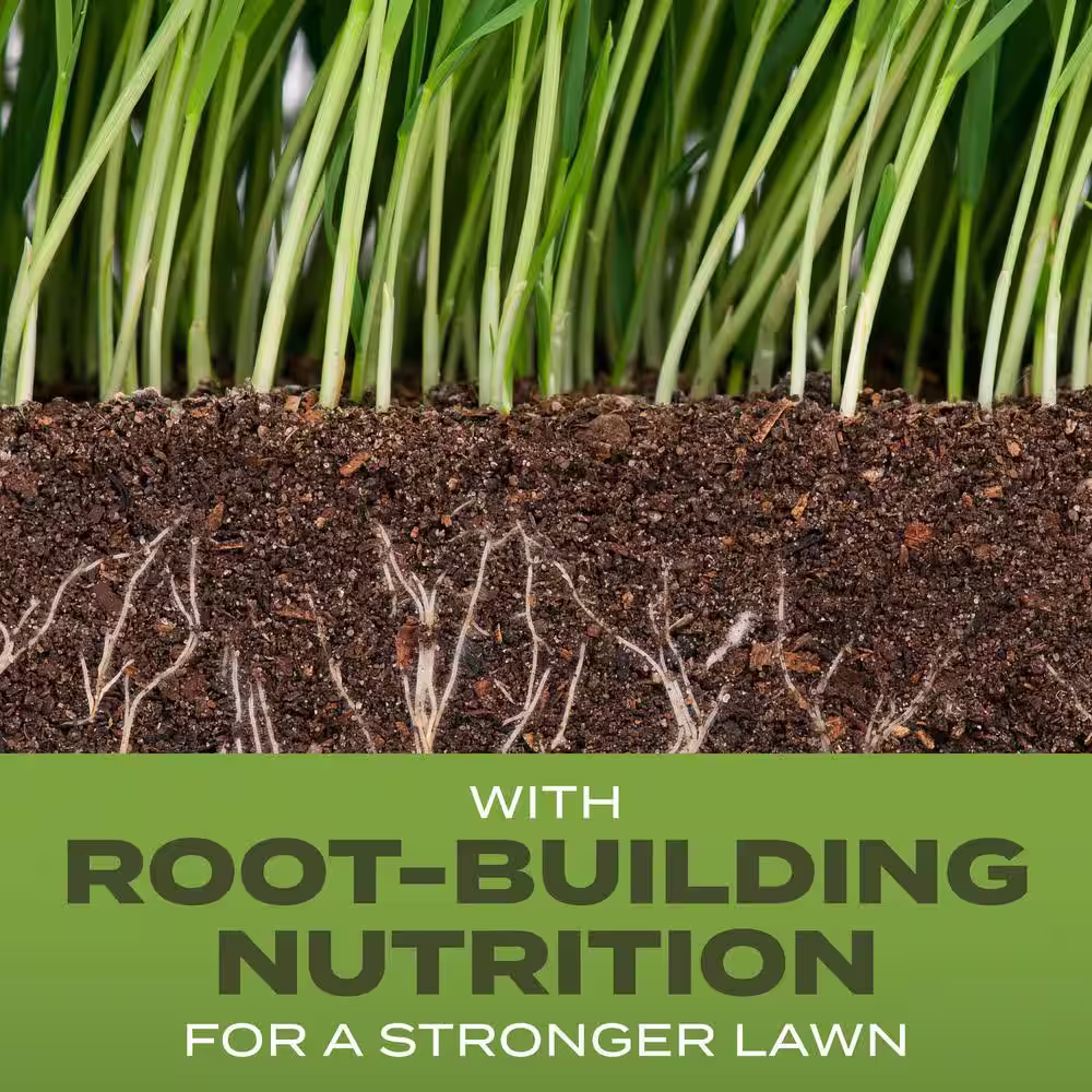Scotts Turf Builder 16 lbs. Grass Seed Tall Fescue Mix with Fertilizer and Soil Improver, Durable to Resist Harsh Conditions