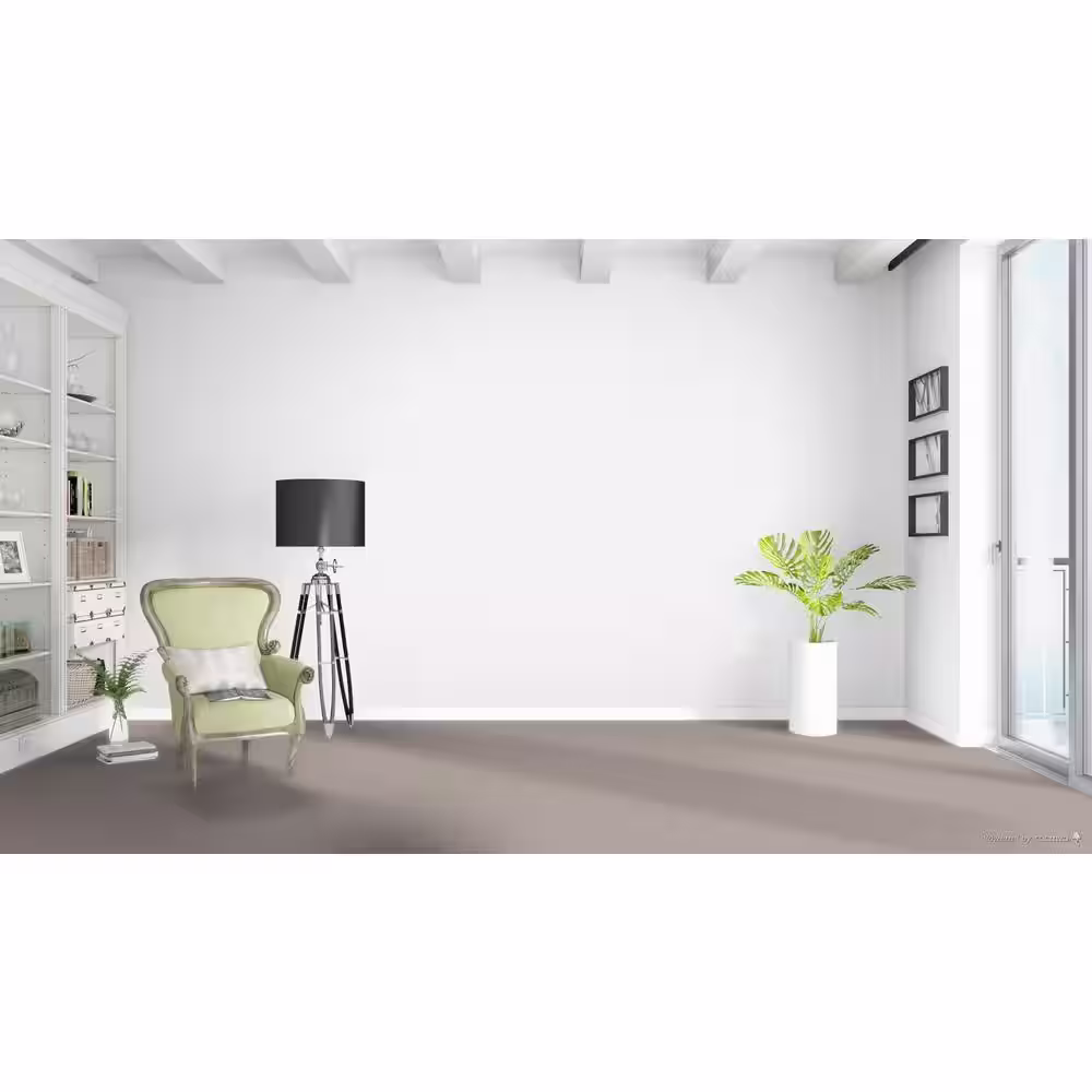 Home Decorators Collection Stargazer  - Rocket - Gray 32 oz. SD Polyester Texture Installed Carpet