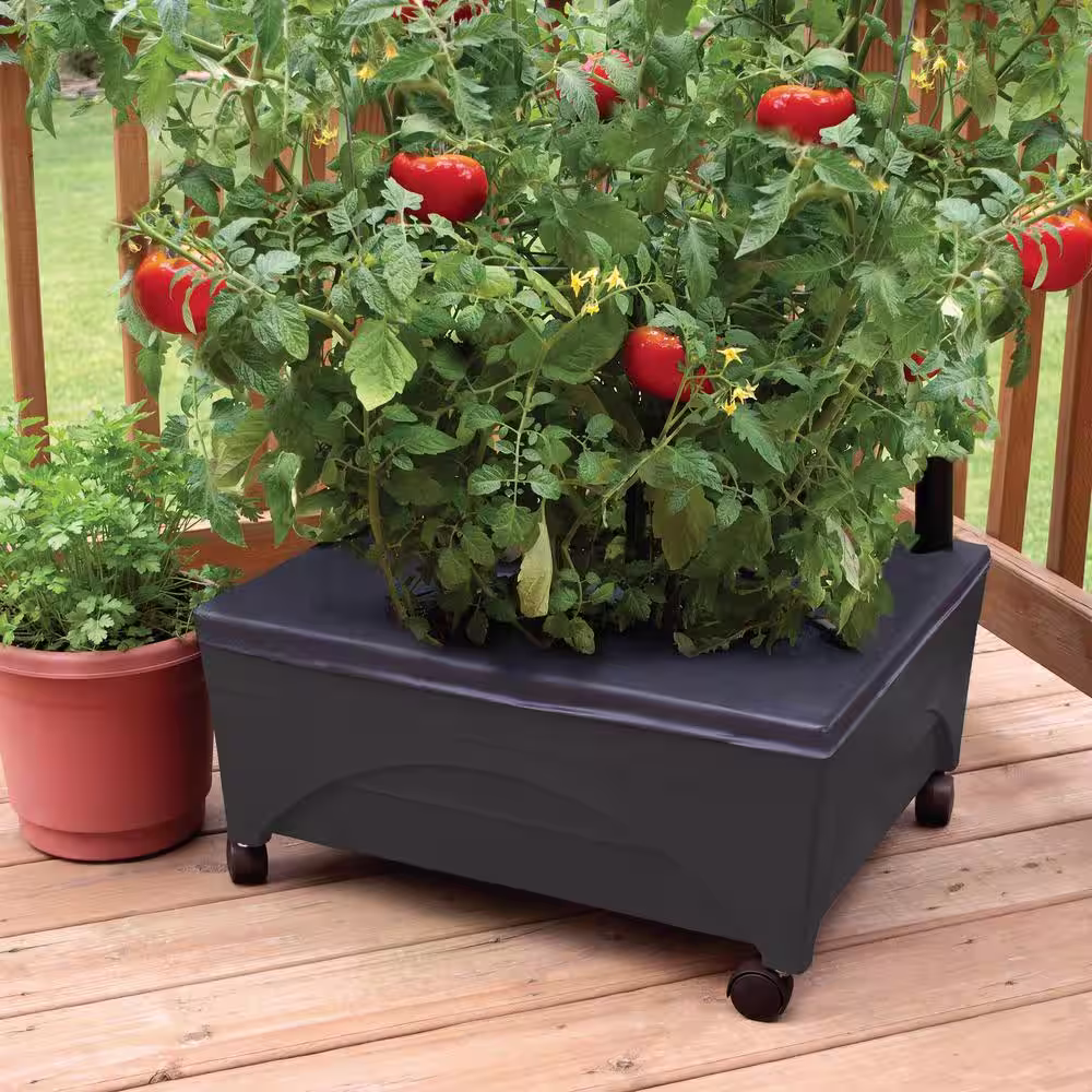 CITY PICKERS 20 in. x 24 in. Charcoal Resin Indoor/Outdoor City Picker Raised Bed Grow Box, Self-Watering, Improved Aeration, Casters
