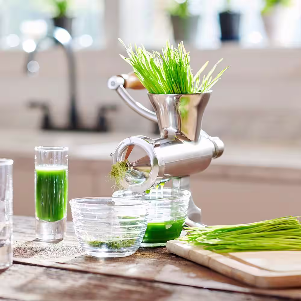 LEM Stainless Steel Wheat Grass Juicer