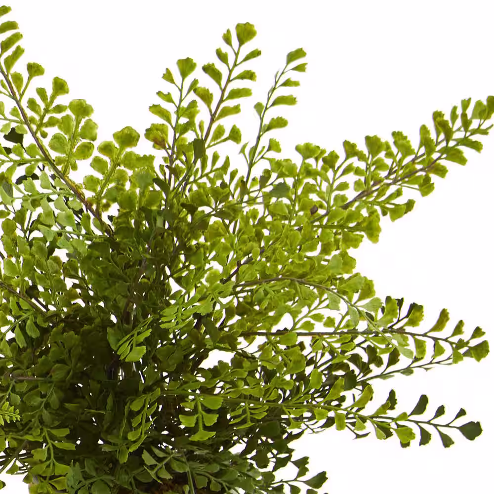Nearly Natural 14 in. Assorted Ferns with Planter Artificial Plant (Set of 3)