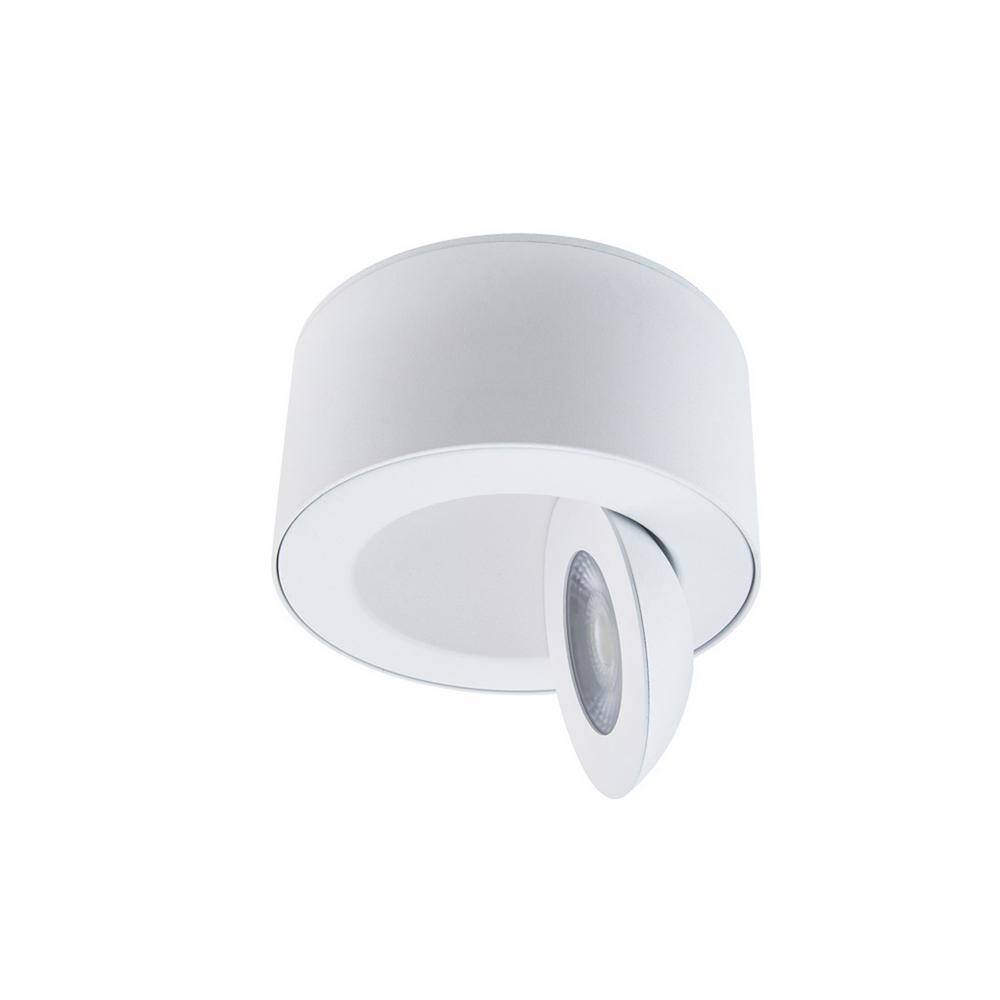 None Peek 1-Light White LED Outdoor Flush Mount Light with Universal Voltage and Selectable CCT