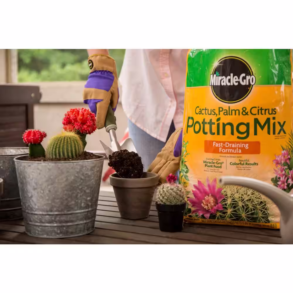 Miracle-Gro 16 Qt. Cactus Palm and Citrus Potting Soil Mix (2-Pack)