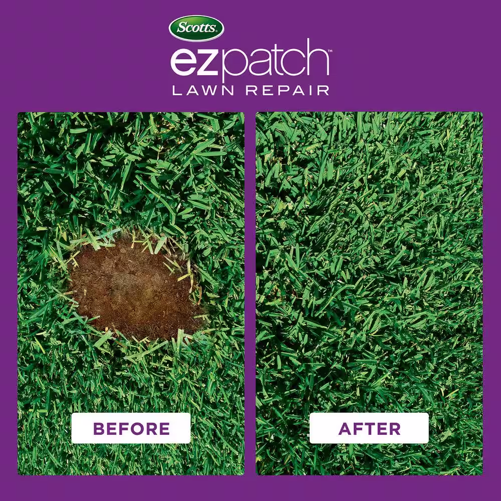 Scotts EZ Patch Lawn Repair for St. Augustine Lawns