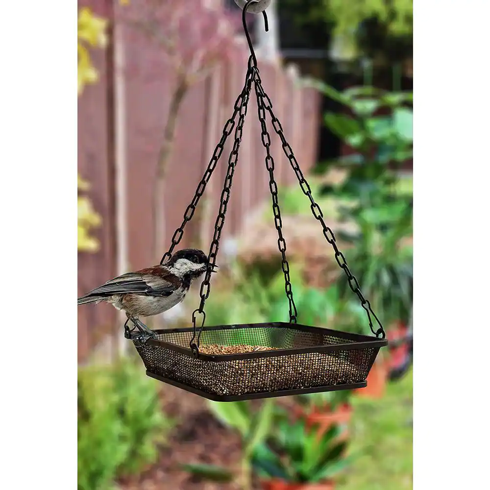 Monarch Abode Black Hanging Bird Feeder Mesh Seed Tray