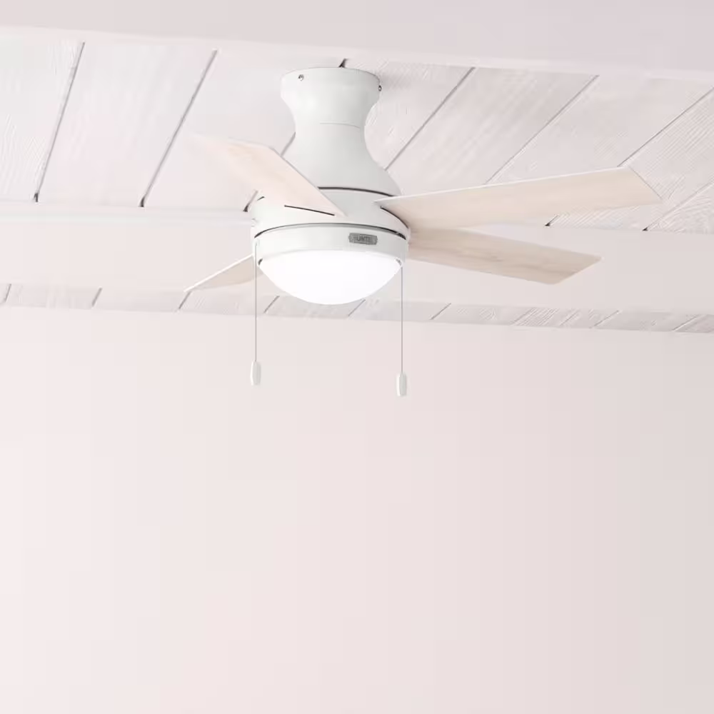 Hunter Aren 44 in. Indoor Fresh White Ceiling Fan with Light Kit