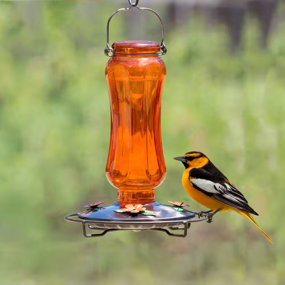 Perky-Pet Orange Carnival Decorative Glass Oriole Nectar Feeder - 16 oz. Capacity