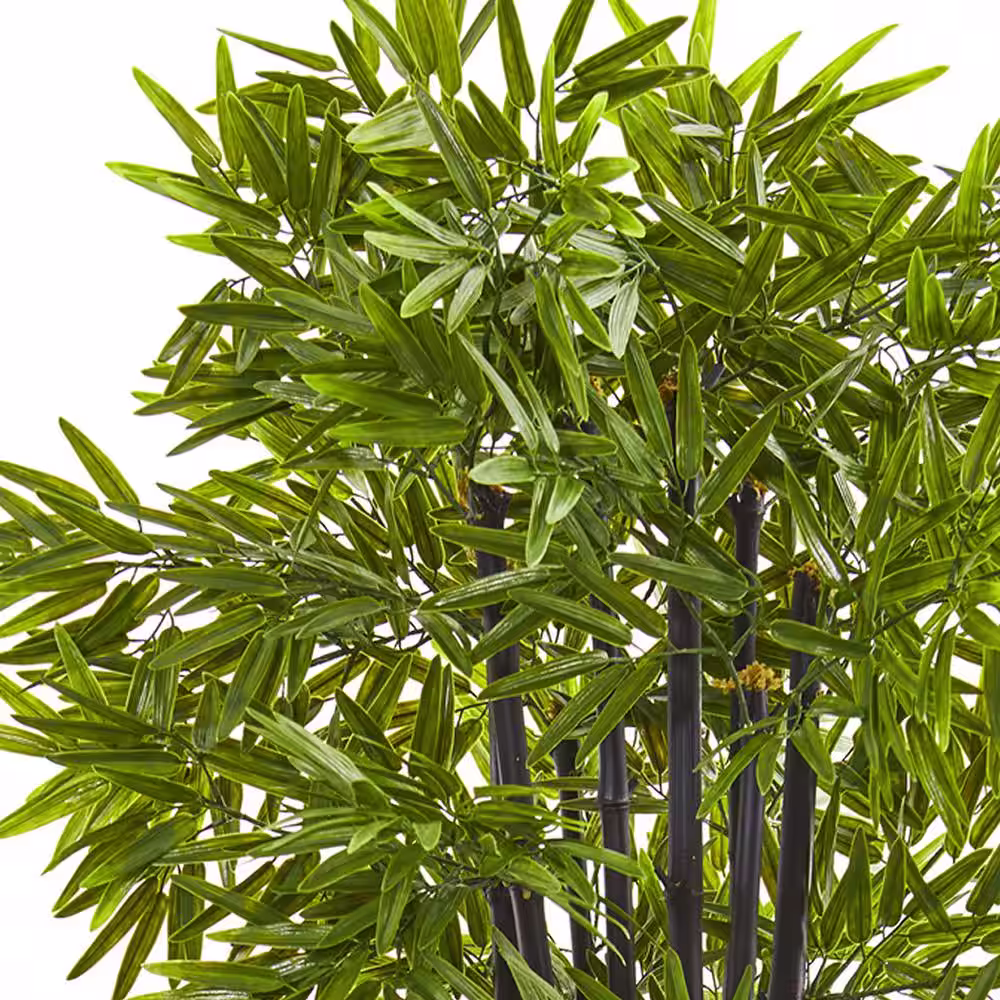 Nearly Natural Indoor/Outdoor 5 ft. Bamboo Artificial Tree with Black Trunks in White Planter UV Resistant