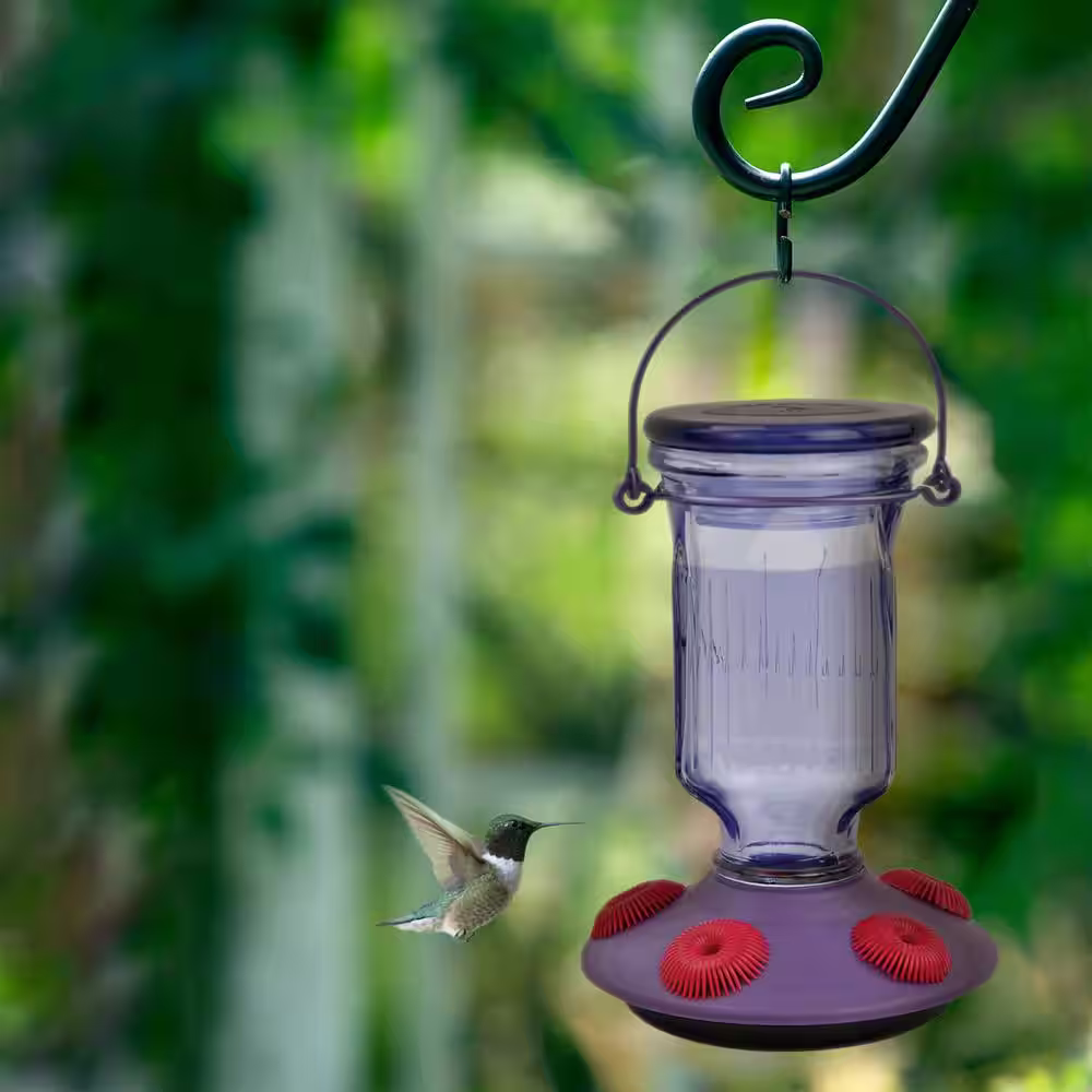 Perky-Pet Lavender Field Top-Fill Decorative Glass Hummingbird Feeder - 16 oz. Capacity