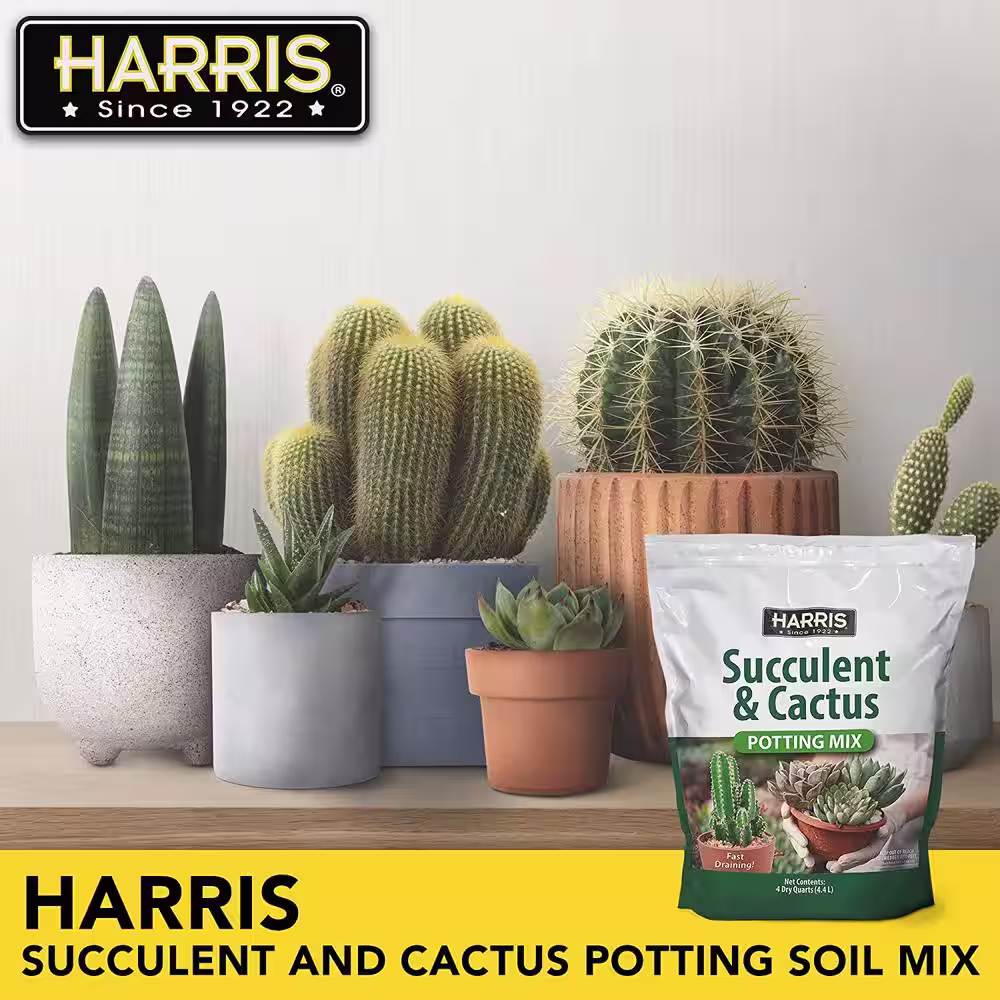 Harris 8 Qt. Premium Horticultural Vermiculite for Indoor Plants and Gardening and 4Qt. Succulent and Cactus Potting Soil Mix
