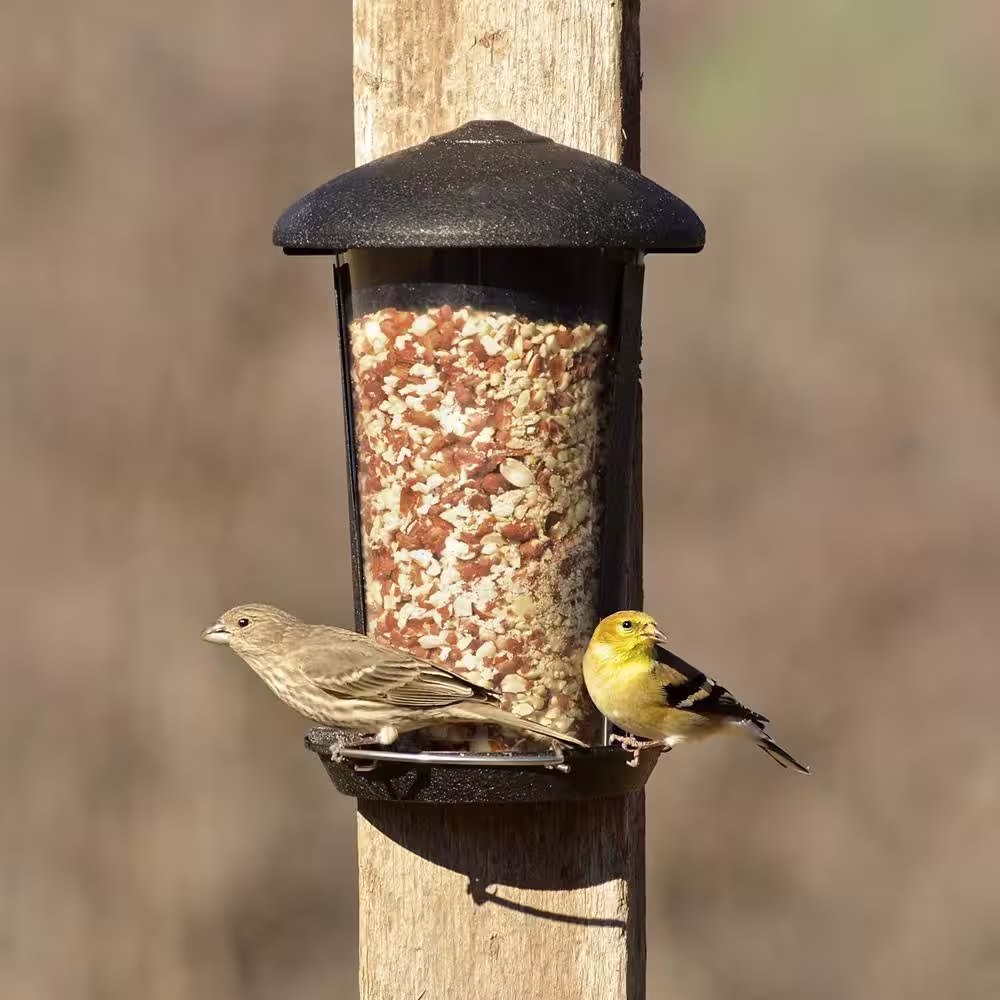 Perky-Pet Wall and Post Mount Bird Feeder - 1.1 lb. Capacity