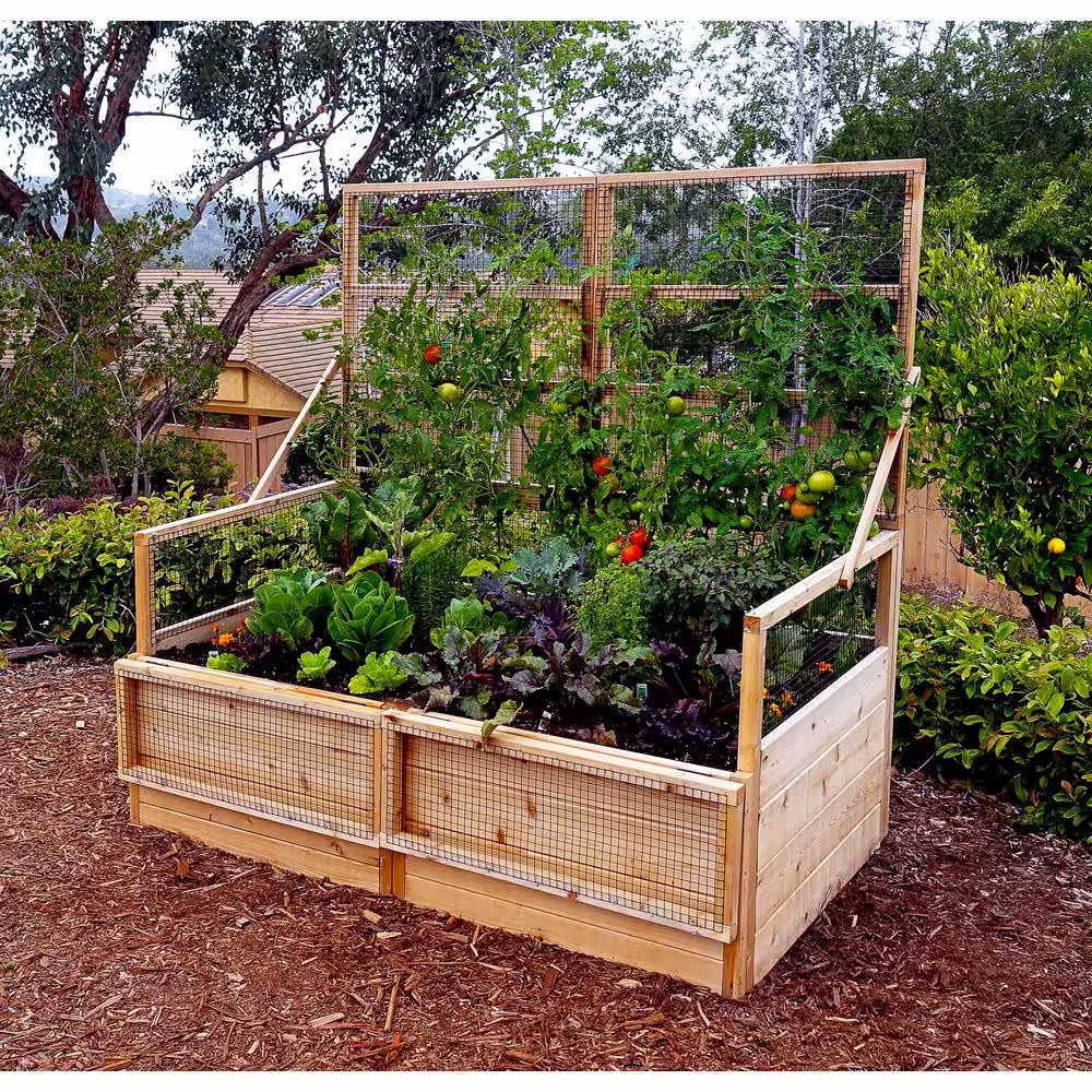 Outdoor Living Today 6 ft. x 3 ft. Garden in a Box with Trellis Lid