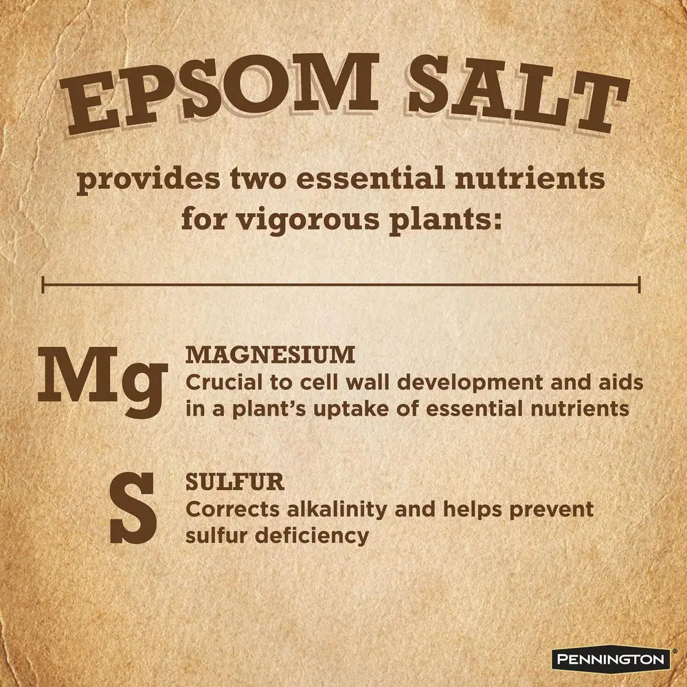Pennington 7 lbs. Epsom Salt for Plants