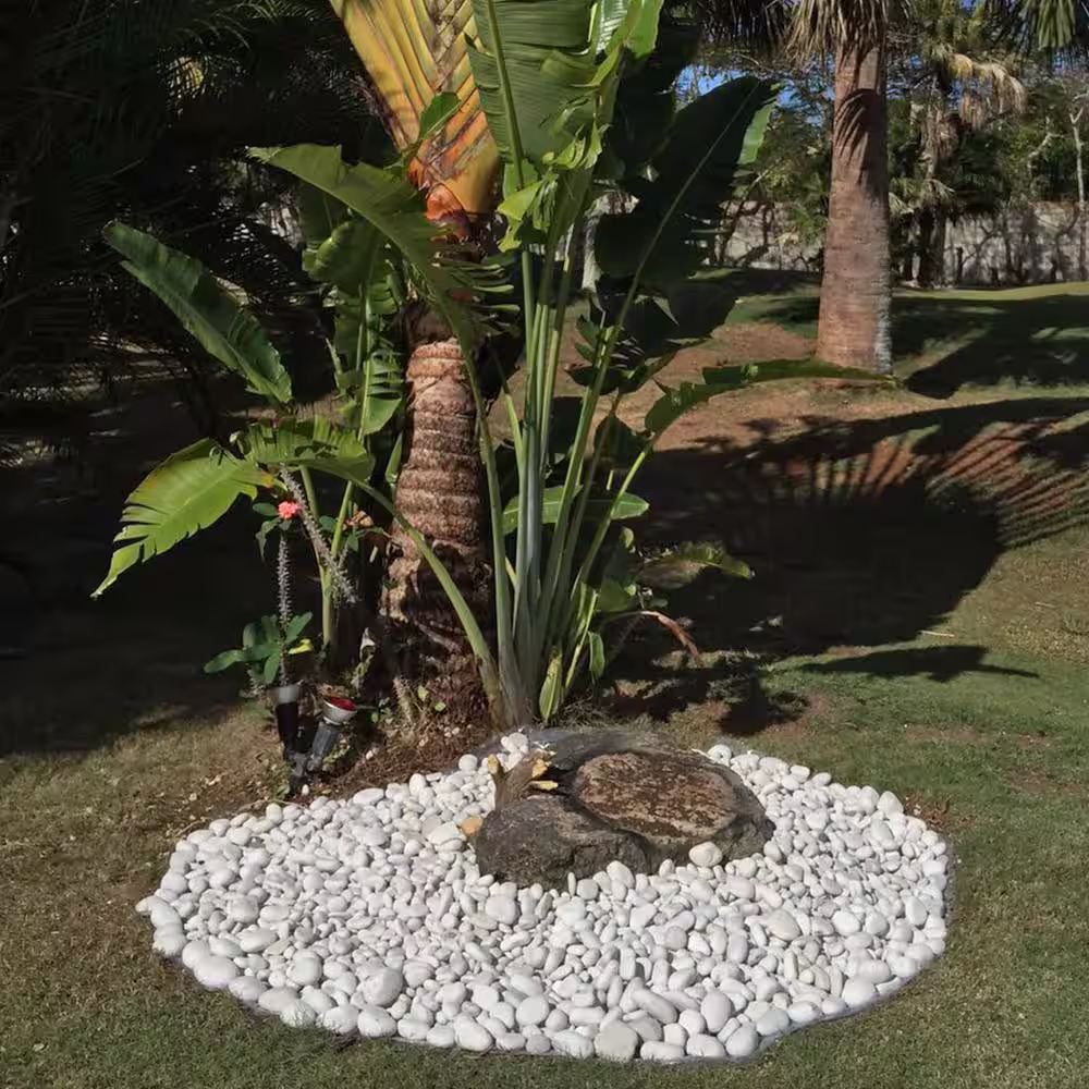 Rain Forest 6.25 cu. ft. 1 in. to 3 in. Small Caribbean Beach Pebbles (1 Sack/Covers 38.64 sq. ft.)