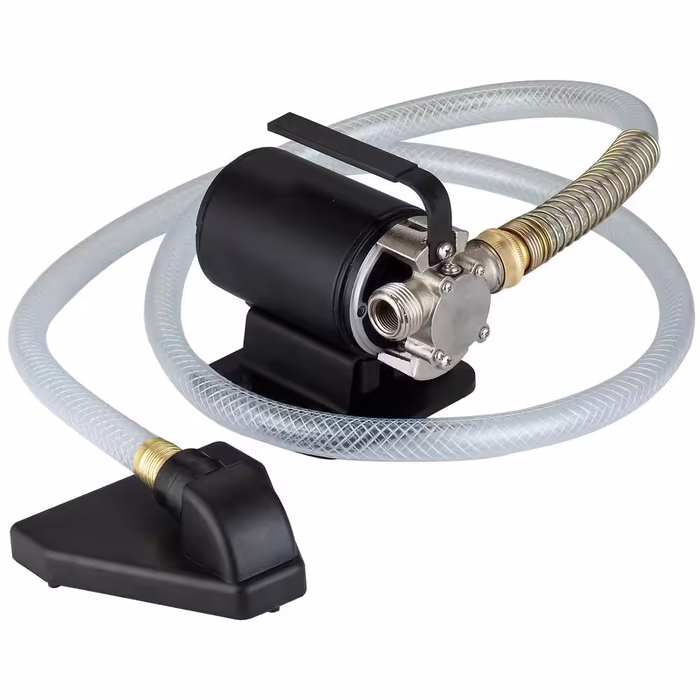 LEO 1/10 HP 12-Volt Utility Transfer Pump