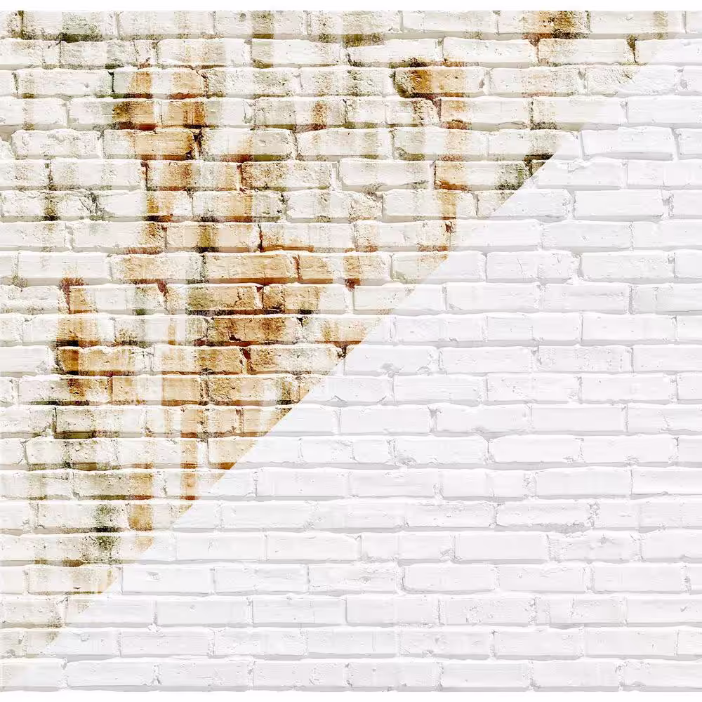 DRYLOK 1 gal. White Acrylic Interior/Exterior Wet Wall Bonding Primer for Concrete and Masonry
