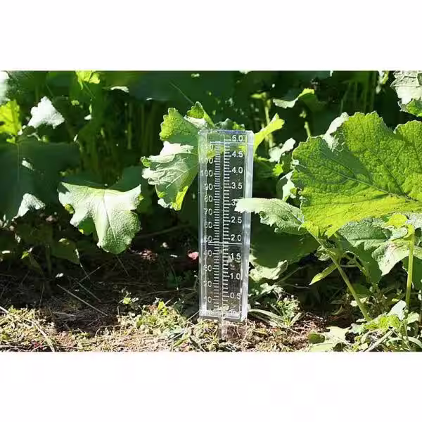 None Dalen Rain Gauge