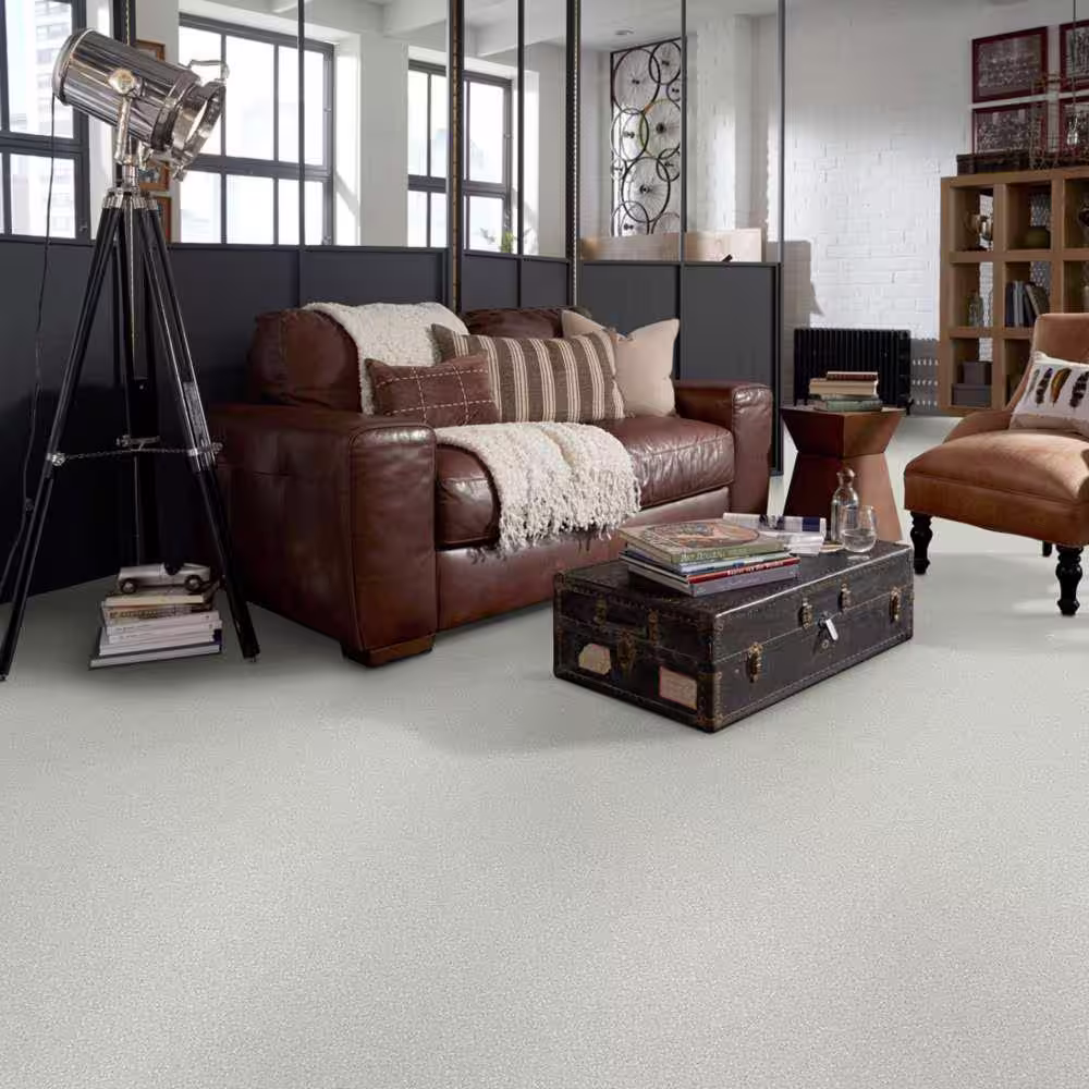 Home Decorators Collection Brave Soul I - Clay Bisque - Beige 34.7 oz. Polyester Texture Installed Carpet
