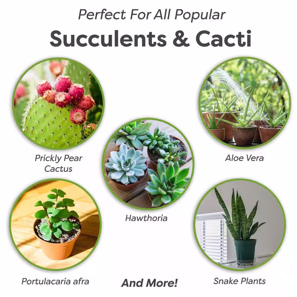 Perfect Plants 8 Qt. Organic Succulent Soil - Premium Fast Draining Blend