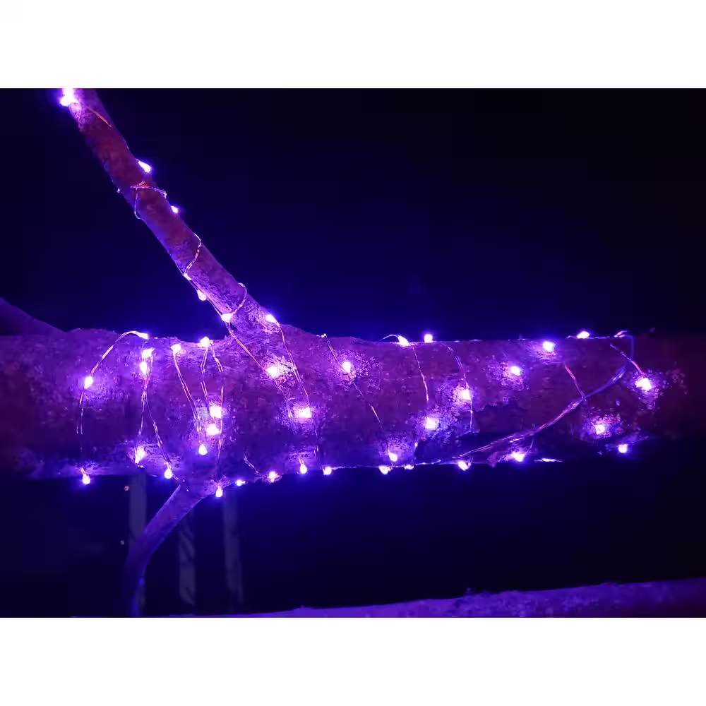 None Hunnykome Outdoor 20 ft. Solar Micro LED String Light with 100 Purple LEDs (4-Pack)