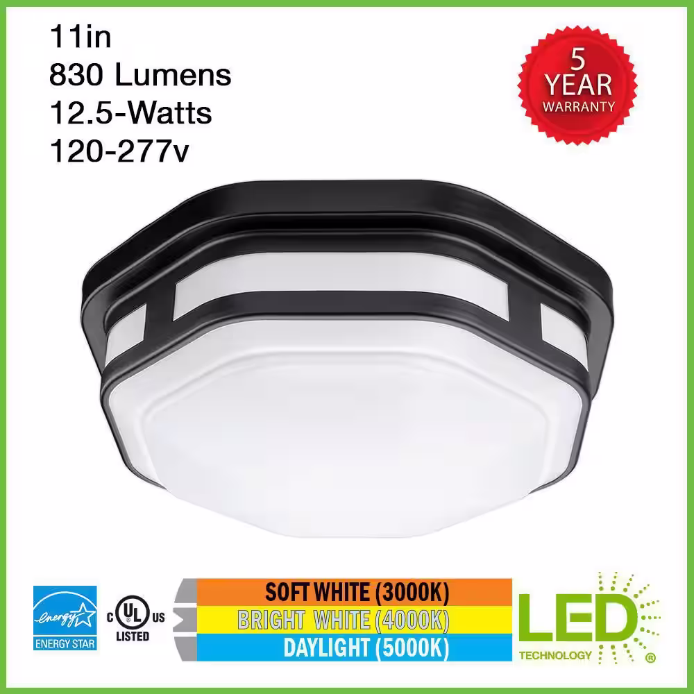 ETi 11 in. Octagon Black Indoor Outdoor Ceiling LED Light 3 Color Temperature Options Wet Rated 830 Lumens Front Side Porch