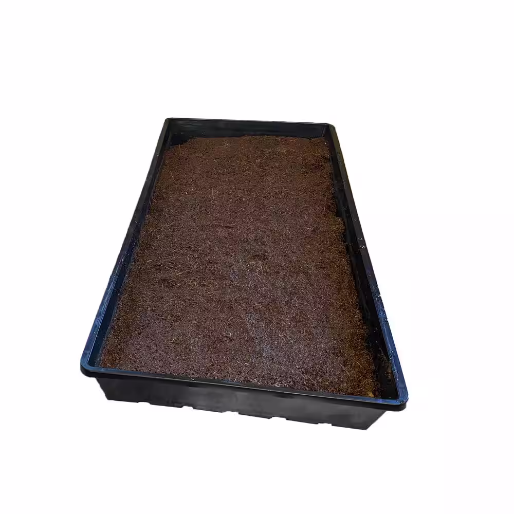 Viagrow Propagation Seed Starter Kit and Mushroom Cultivation with Tall Dome and Coco Coir Grow Media