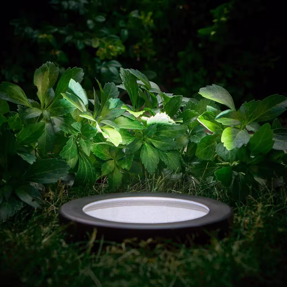 Hampton Bay 60-Watt Equivalent Low Voltage 6 in. Black LED Outdoor InGround Well Light with 3 cct Choice Directional Change (1-Pack)