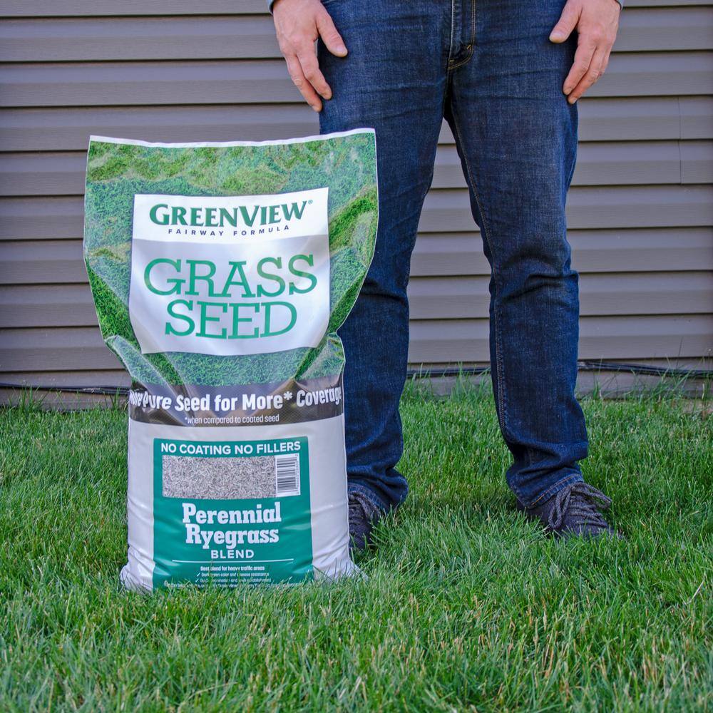 GreenView 20 lbs. Fairway Formula Grass Seed Perennial Ryegrass Blend (50-Bags/250,000 sq. ft./Pallet)