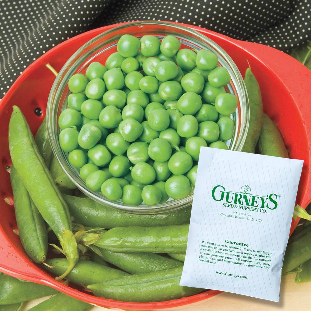 Gurney's Shell Pea Mira Green (0.50 lb. Seed Packet)