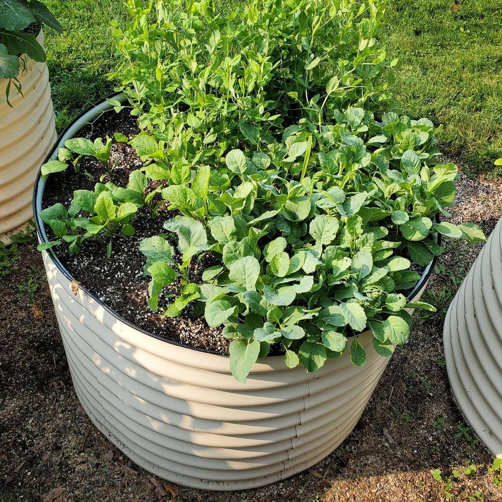 vego garden 32 in. Extra-Tall x 42 in. Round Pearl White Metal Raised Garden Bed Kit