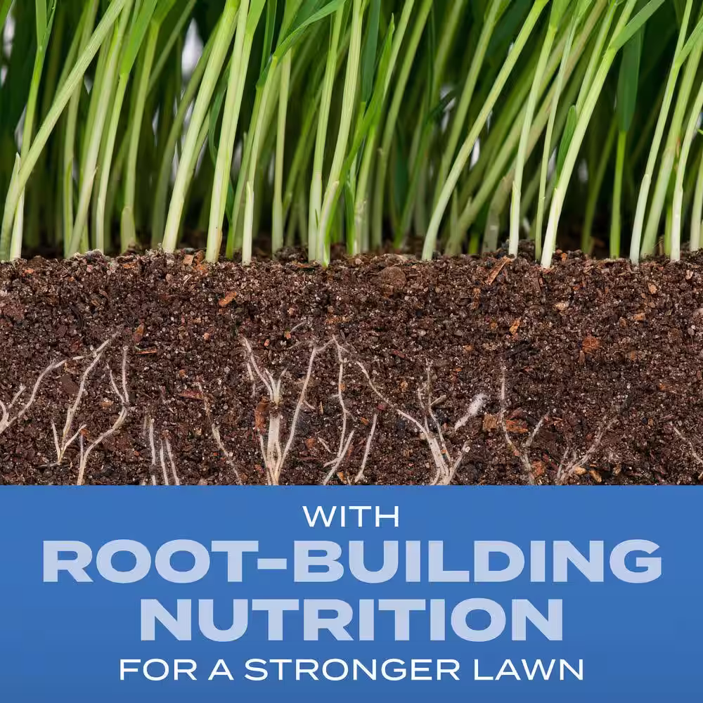 Scotts Turf Builder 16 lbs. Grass Seed Sun and Shade Mix with Fertilizer and Soil Improver Thrives in a Variety of Conditions