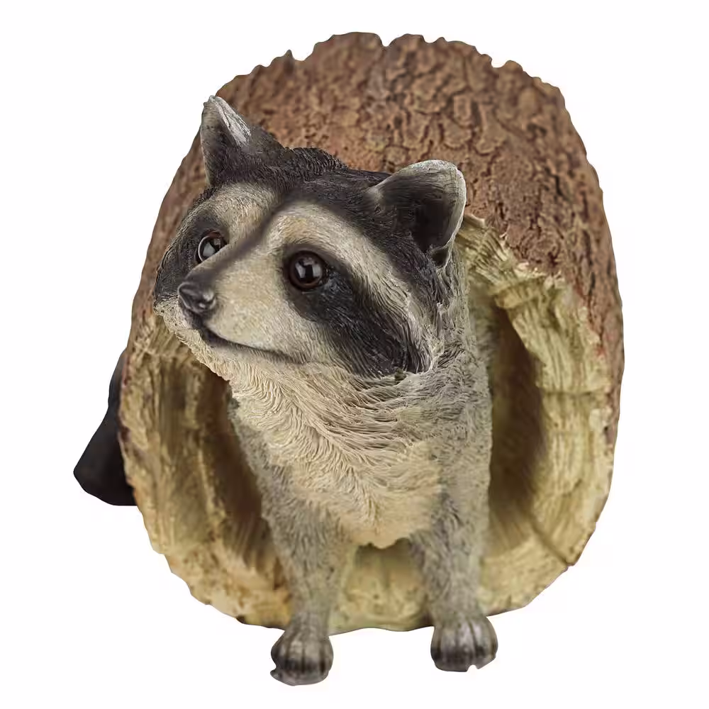 Design Toscano 7.5 in. H Bandit the Raccoon Statue