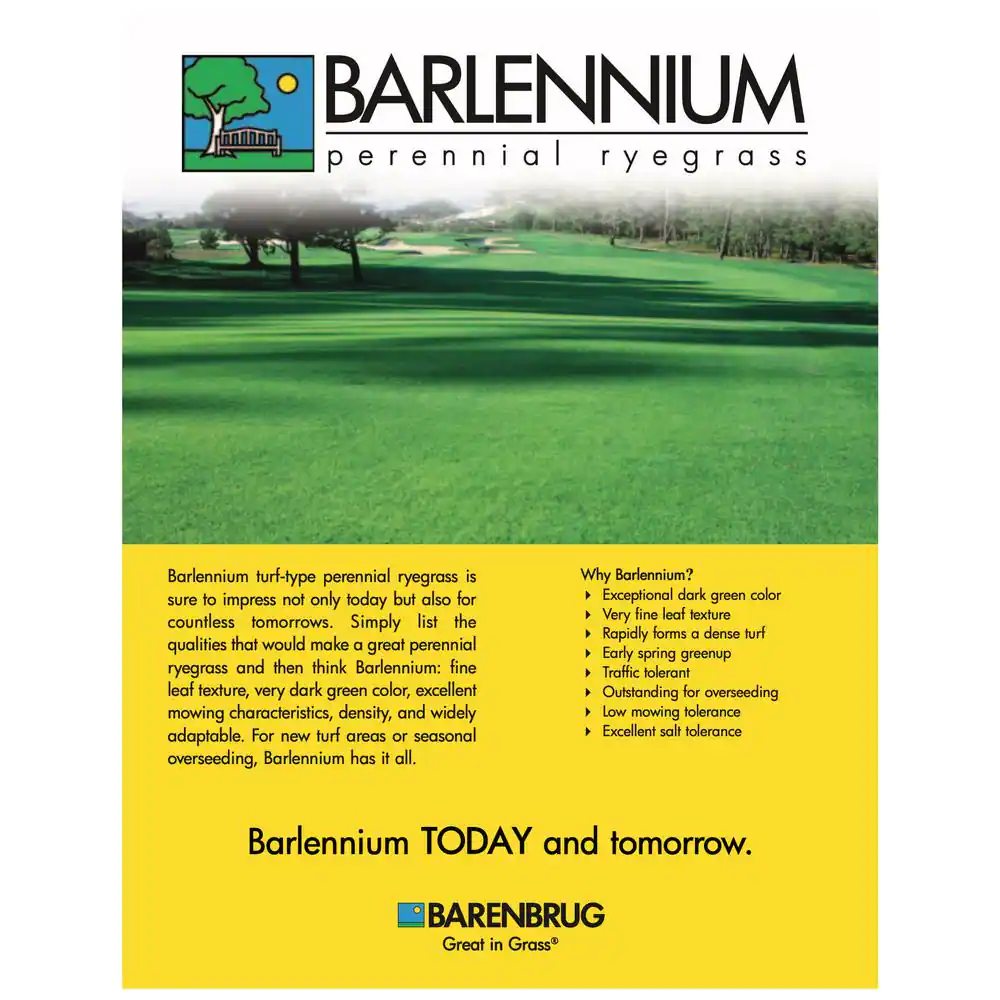 Barenbrug 50 lbs. Barlennium Perennial Ryegrass Seed