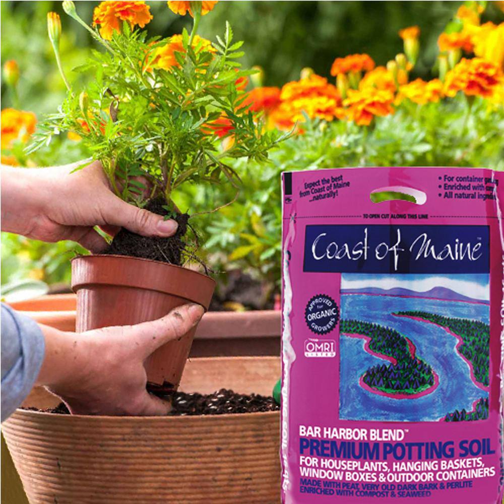 None Bar Harbor Blend Organic Potting Soil, 16 Qt. Bag (2-Pack)