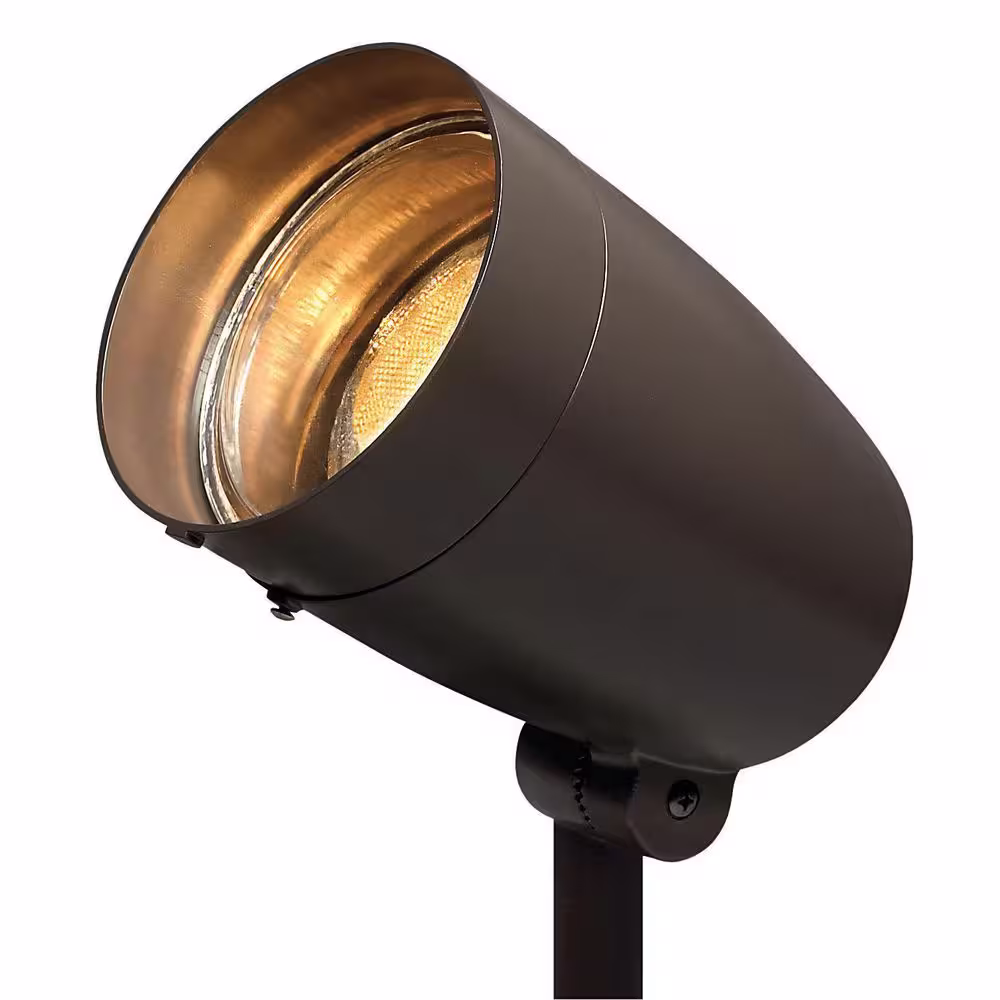 HINKLEY 120-Volt Line-Voltage Bronze Large Spot Light PAR38 or R40