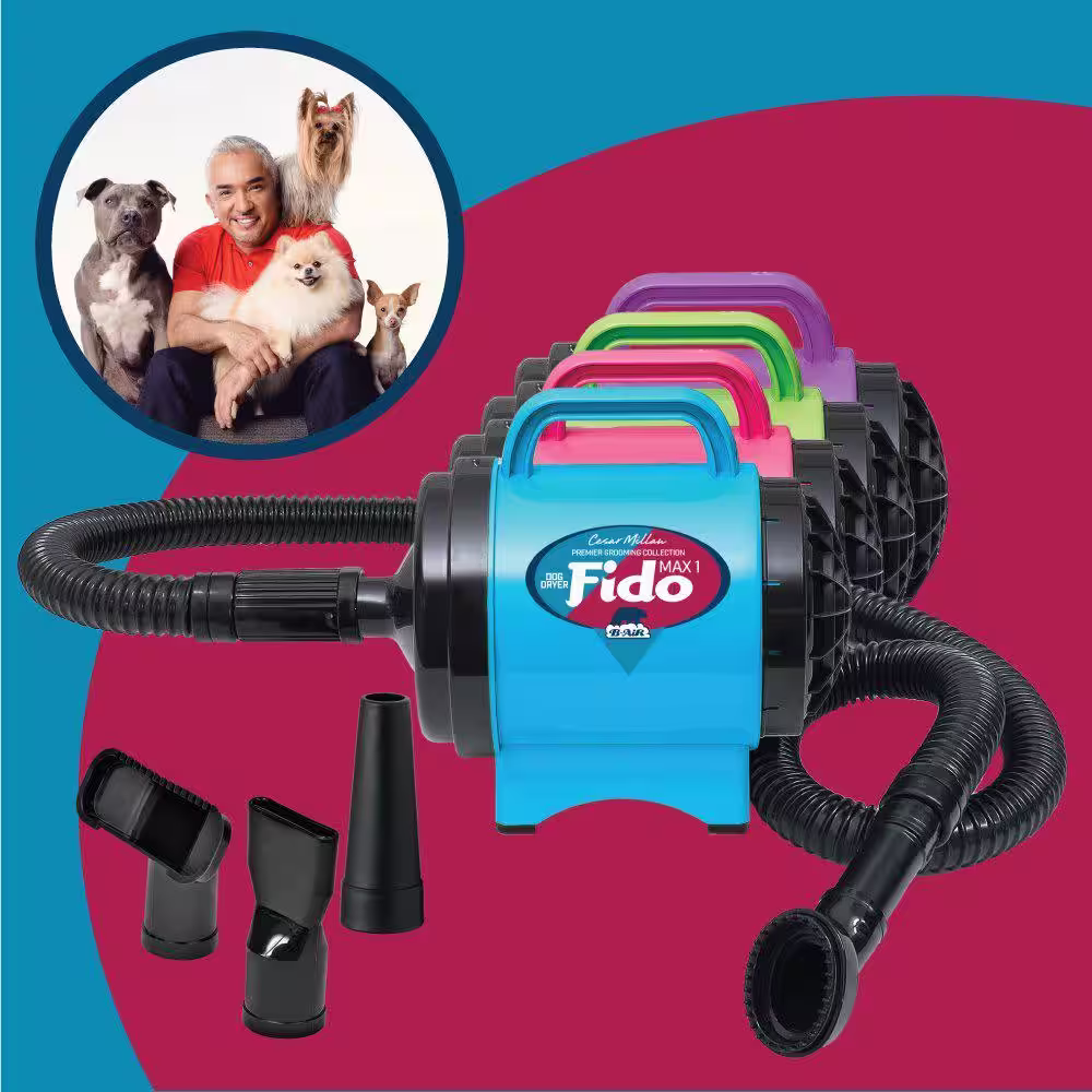 B-Air Cesar Millan Collection 2 HP Fido Max 1 Pet Grooming Dog Dryer in Hot Pink
