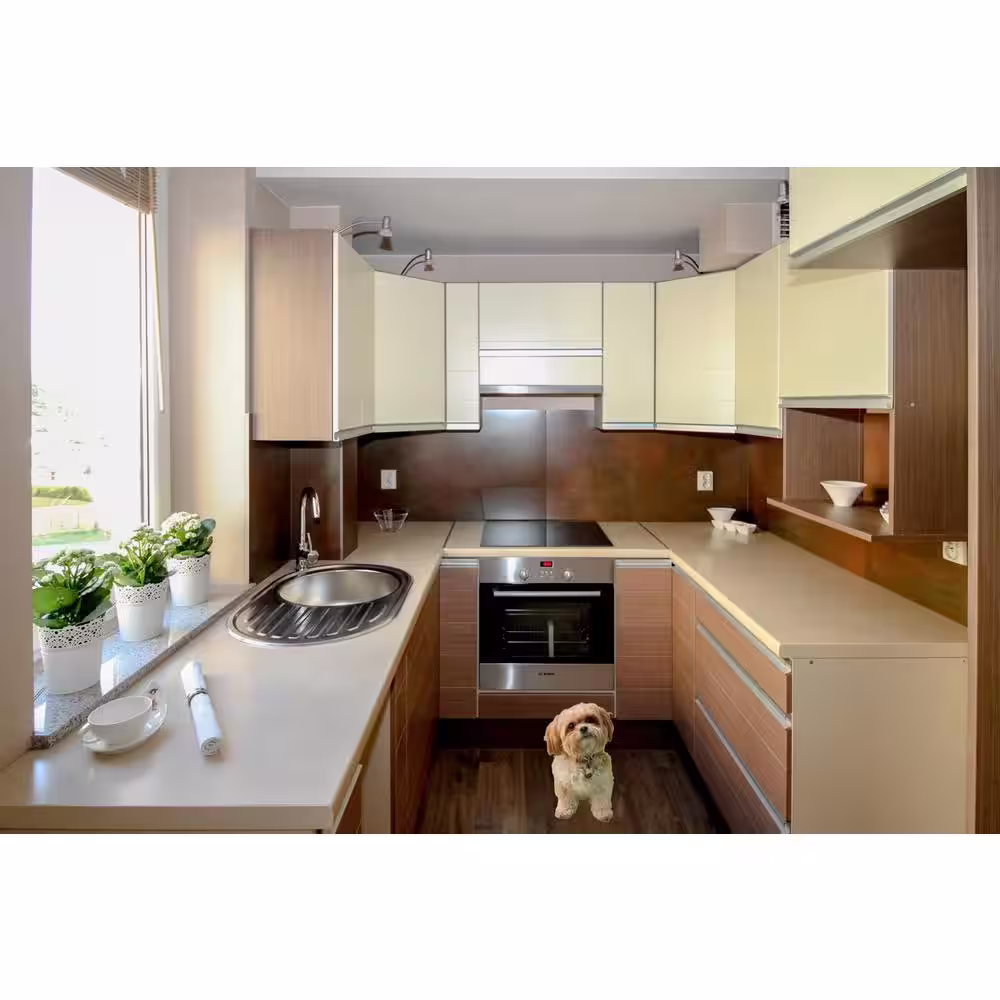 AMAX LIGHTING 1-Light Black Round Under Cabinet LED Puck Lights