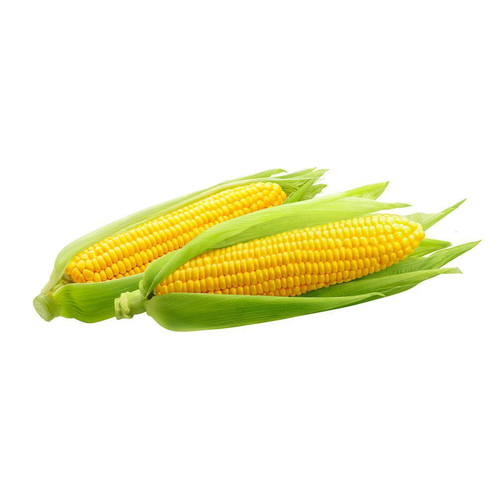 Maze 9 Gal. Corn Bags (120-Count)