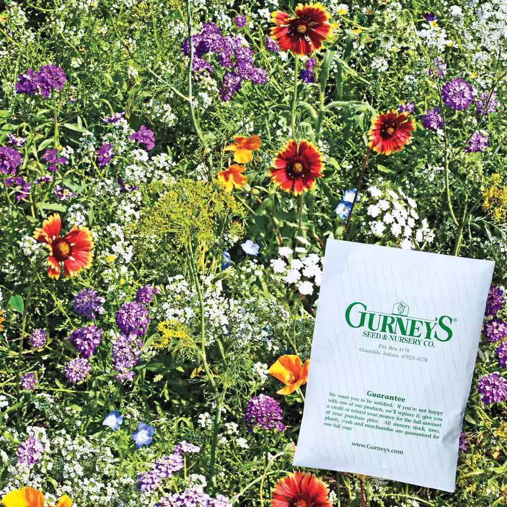Gurney's Beneficial Bug Wildflower Seed Mixture (0.25 lb. Seed Packet)